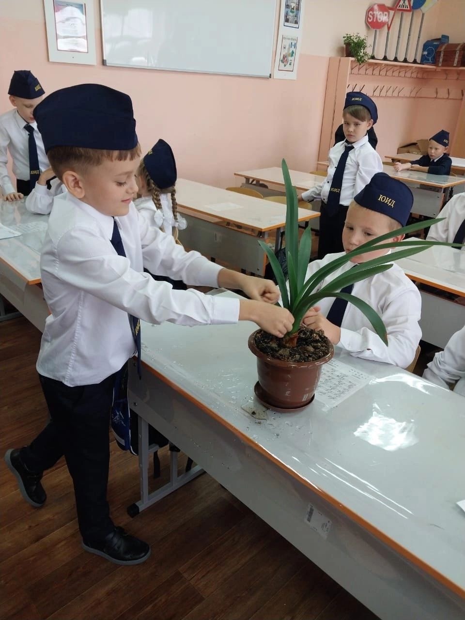 Капля жизни.